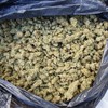 Three men arrested after €100,000 cannabis seizure in Co Offaly
