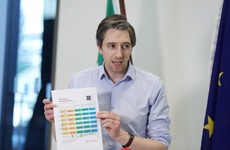 Simon Harris: We need more measures to 'toughen up' on self-isolation for people entering country