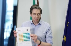 Simon Harris: We need more measures to 'toughen up' on self-isolation for people entering country