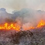 Drones to be deployed to assist firefighters tackling forest fires over coming months