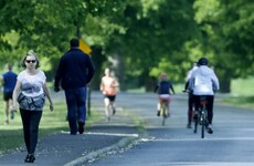 Traffic through Phoenix Park 'unlikely to change' as main avenue to remain for essential workers