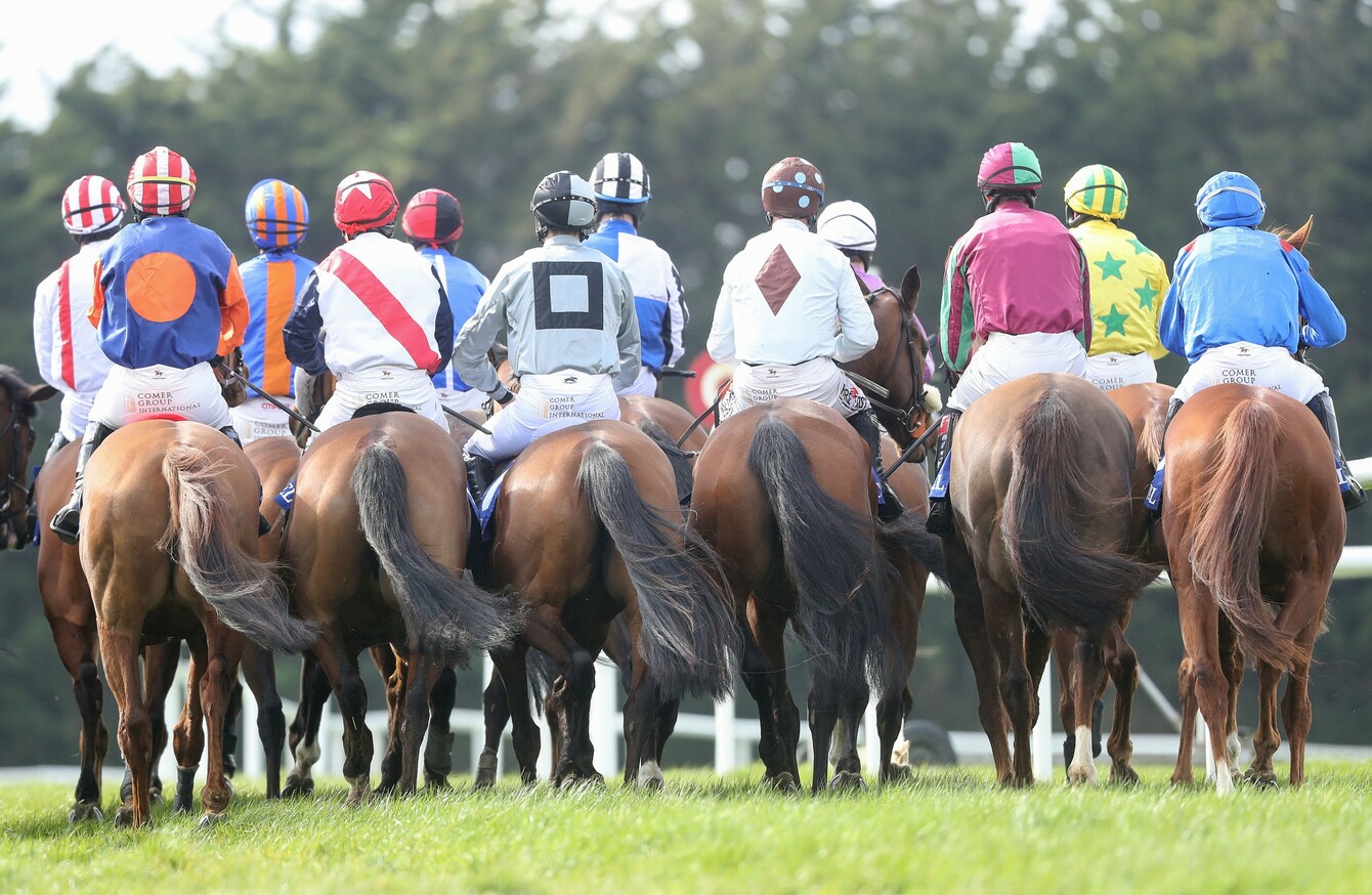 Horse racing in Ireland can resume behind closed doors in June 'under