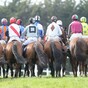 Horse racing in Ireland can resume behind closed doors in June 'under strict protocols'