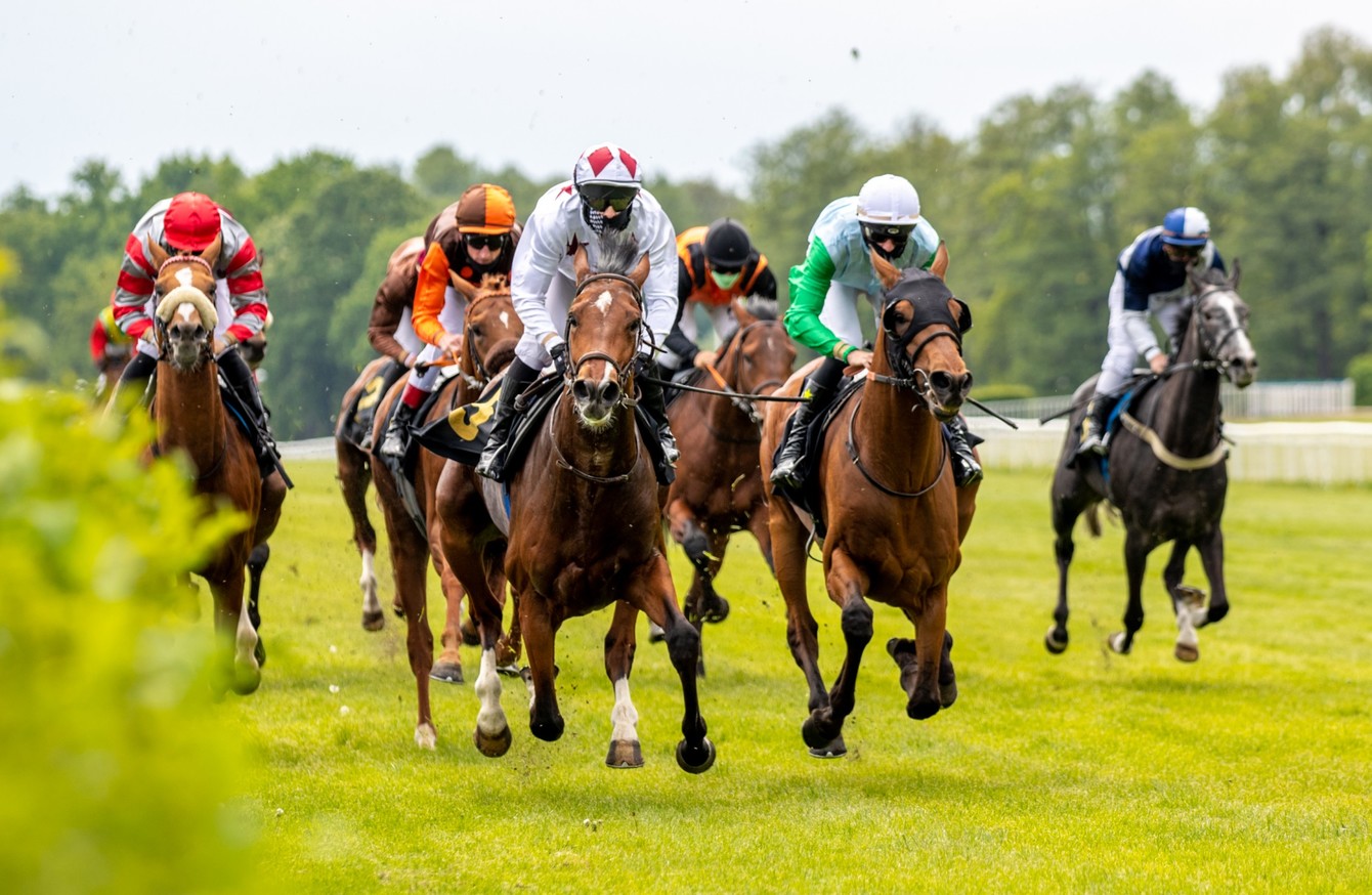 best online horse racing betting sites