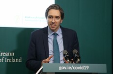 'Curtains can wait': Why the government is allowing hardware - but not homeware - stores to re-open