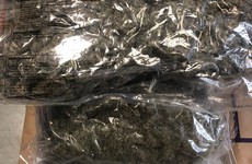 Man and youth arrested after €60,000 worth of cannabis discovered in Limerick