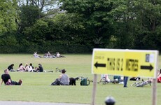 Dr Tony Holohan: 'We have effectively extinguished the virus from the community'