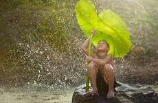 Wellness Wednesday: Cultivating self-compassion during the Covid-19 crisis