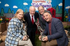 Tidy Towns groups can still get funding despite competition being cancelled