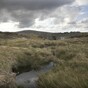 Skull found in Dublin mountains being examined for clues