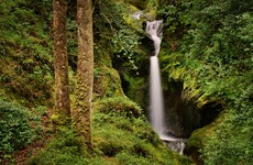 Quiz: How well do you know Ireland's national parks?