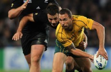 ARU boss says Wallabies are primed to dominate All Blacks