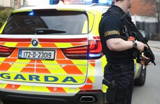 Gardaí believe men arrested in small Offaly town were South American 'hit team'