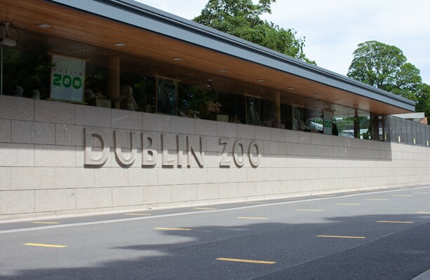 Dublin Zoo to reopen to public tomorrow with reduced capacity and new