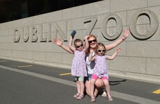 Crowds gather at Dublin Zoo as it reopens to the public for the first time in 11 weeks