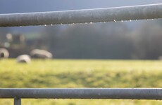 Man (70s) dies in Cork farm accident