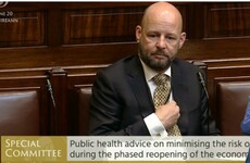 Committee hears further outbreaks of Covid-19 'probable', but strategy is 'right one for Ireland at this time'