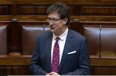 'I repeated a racial slur. I was completely wrong to do so': Eamon Ryan apologises for using the n-word during Dáil debate on racism
