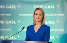 McEntee says NI protocol is 'vague and lacking in detail on customs' as deadline looms