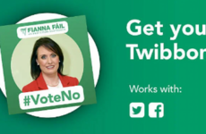 'This is not what people voted for': Fianna Fáilers launch campaign to defeat party's deal with Fine Gael