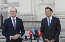 Leo Varadkar seeks to woo Independents in order to bolster government support