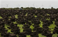 Bord Na Mona to end peat harvesting, with €5 million going towards bog rehabilitation