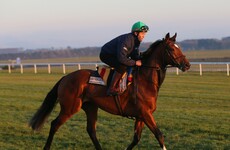 'It is an Irish success story, one of the greatest to come out of Ireland since the foundation of the State'