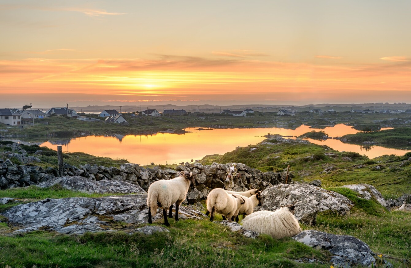 Poll: Are you planning to get away somewhere in Ireland this summer?