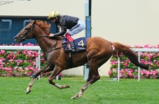 Super Stradivarius produces brilliant best for third Gold Cup