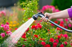 Hosepipe ban to remain in place despite recent bouts of rainfall, says Irish Water
