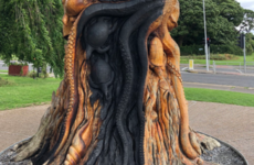 'A wanton act of vandalism': Gardaí investigate fire at popular tree sculpture in Dublin