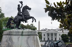 Protesters attempt to pull down statue of former US president near White House