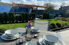 This 'sanctuary space' has won RTÉ's Super Garden 2020