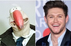 Explainer: How Dustin the Turkey drew the ire of a legion of Niall Horan fans on Friday
