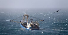So long and thanks for all the fish: Irish fishermen say UK Brexit position could spell 'unmitigated disaster'