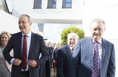 'Bitterly disappointed' and 'grossly insulted': FF and FG politicians speak out about ministerial snubs