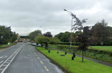 Gardaí appeal for witnesses after crash between van and lorry in Monaghan