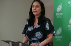 'Missed opportunity' to promote women - Catherine Martin criticises Greens' cabinet appointments