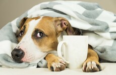 Poll: Have you turned the heating on this week?