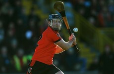 Wexford SHC heads up listings as TG4 brings live GAA back to your screen
