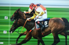 Freewheelin Dylan clams Midlands National after dramatic photo finish