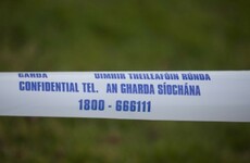 Gardaí say body found in search for missing Ann O'Donoghue