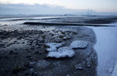 Snow Sunday: last night's snowfall makes for more great photos