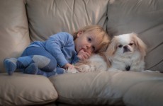 New study finds that babies with pets are healthier