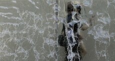 The week in photos: Burst
