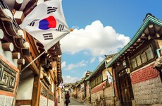 Your evening longread: The South Korean loner lifestyle