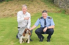 Gardaí appeal for people to report dog thefts after happy ending in Cork