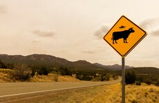 Quiz: From Area 51 to 'magic roads' ... How much do you know about these unexplained mysteries?