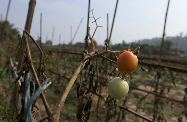 Email “Floods, drought and natural disasters already threatened food security in Nepal, then coronavirus came”. - TheJournal.ie