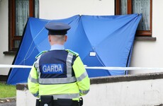 Man (48) appears in court charged with murdering his neighbour (77) in Dublin
